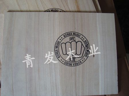 Click to view actual size<br>TitleTaekwondo wood Reads5498