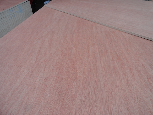 Click to view actual size<br>TitlePlywood Reads5884