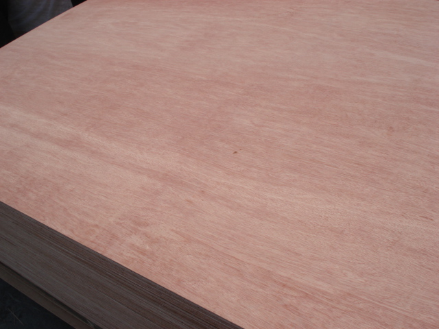 Click to view actual size<br>TitlePlywood Reads4816
